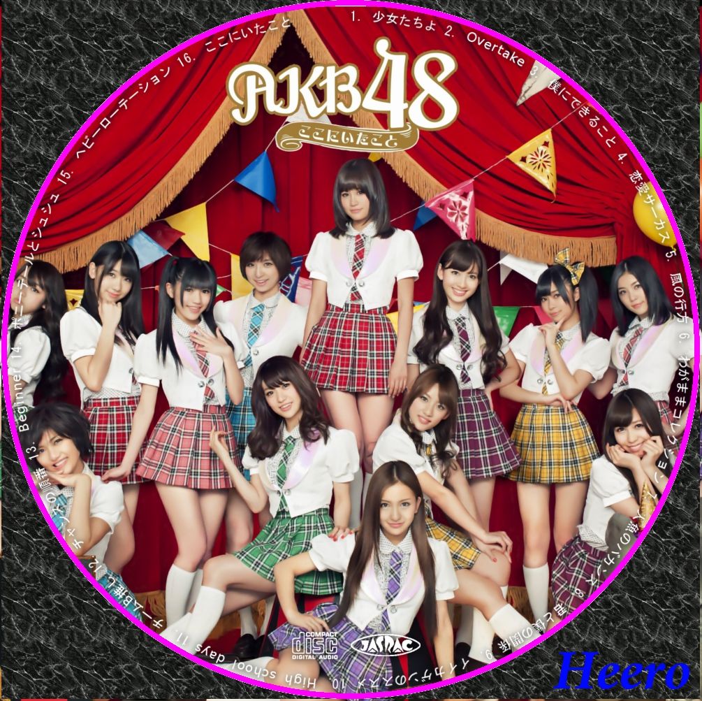 DVD/CD Label Storage Warehouse 2 AKB48 ここにいたこと