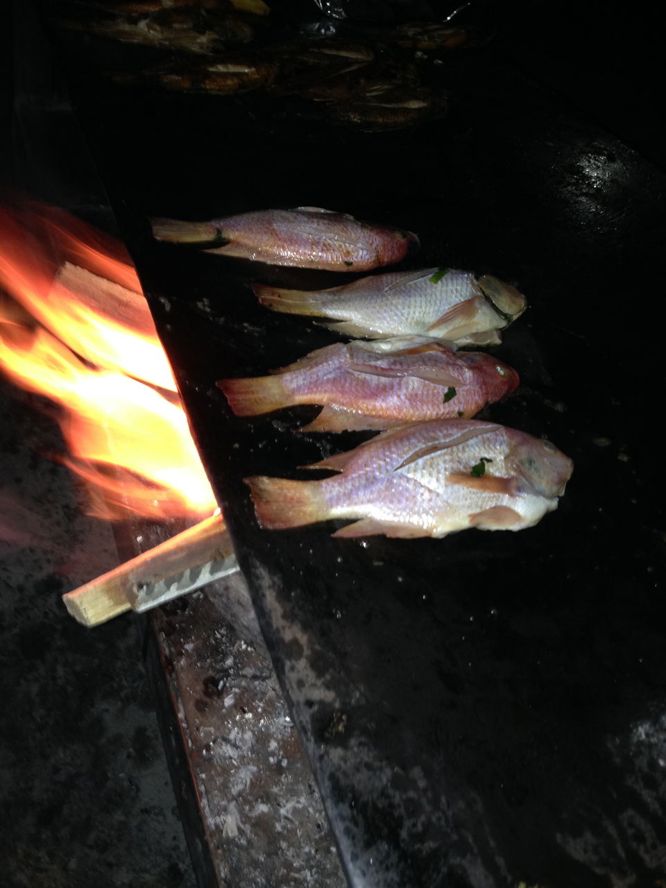 Kenty Gross G Blog ライブドアブログ Kenty Gross G Blog ライブドアブログ