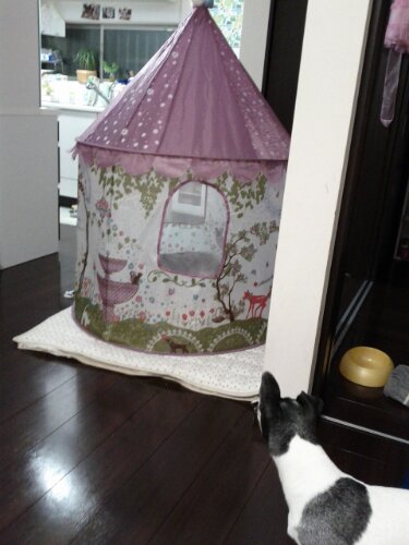 IMG_20130119_204445.jpg image