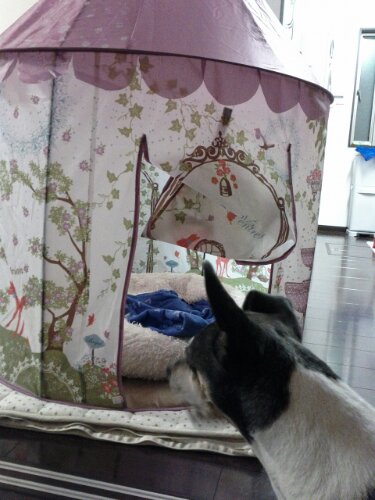 IMG_20130119_204611.jpg image