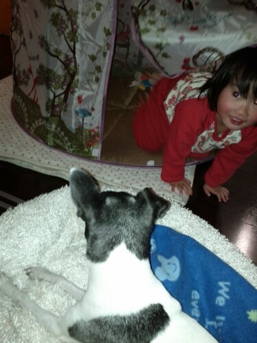 IMG_20130119_204827.jpg image