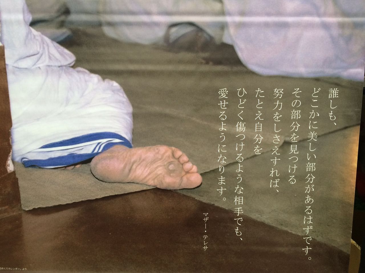 マザー テレサ展 愛は微笑みから を見学 秋葉けんや活動報告 マザー テレサ展 愛は微笑みから を見学 秋葉けんや活動報告
