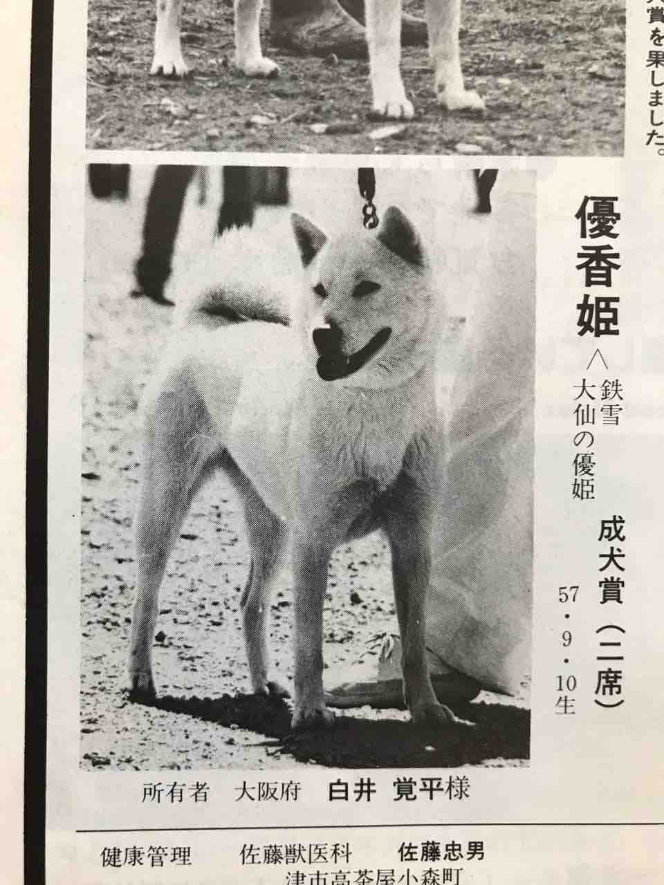 名犬写真館 Day By Day 紀州犬犬舎 健悠庵のブログ 名犬写真館 Day By Day 紀州犬犬舎 健悠庵のブログ