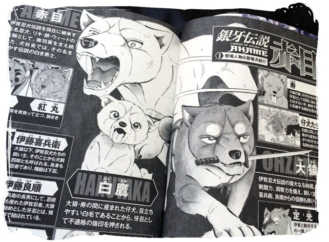 伊賀忍犬 チョメチョメ伝説 M家 Day By Day 紀州犬犬舎 健悠庵のブログ 伊賀忍犬 チョメチョメ伝説 M家 Day By Day 紀州犬犬舎 健悠庵のブログ