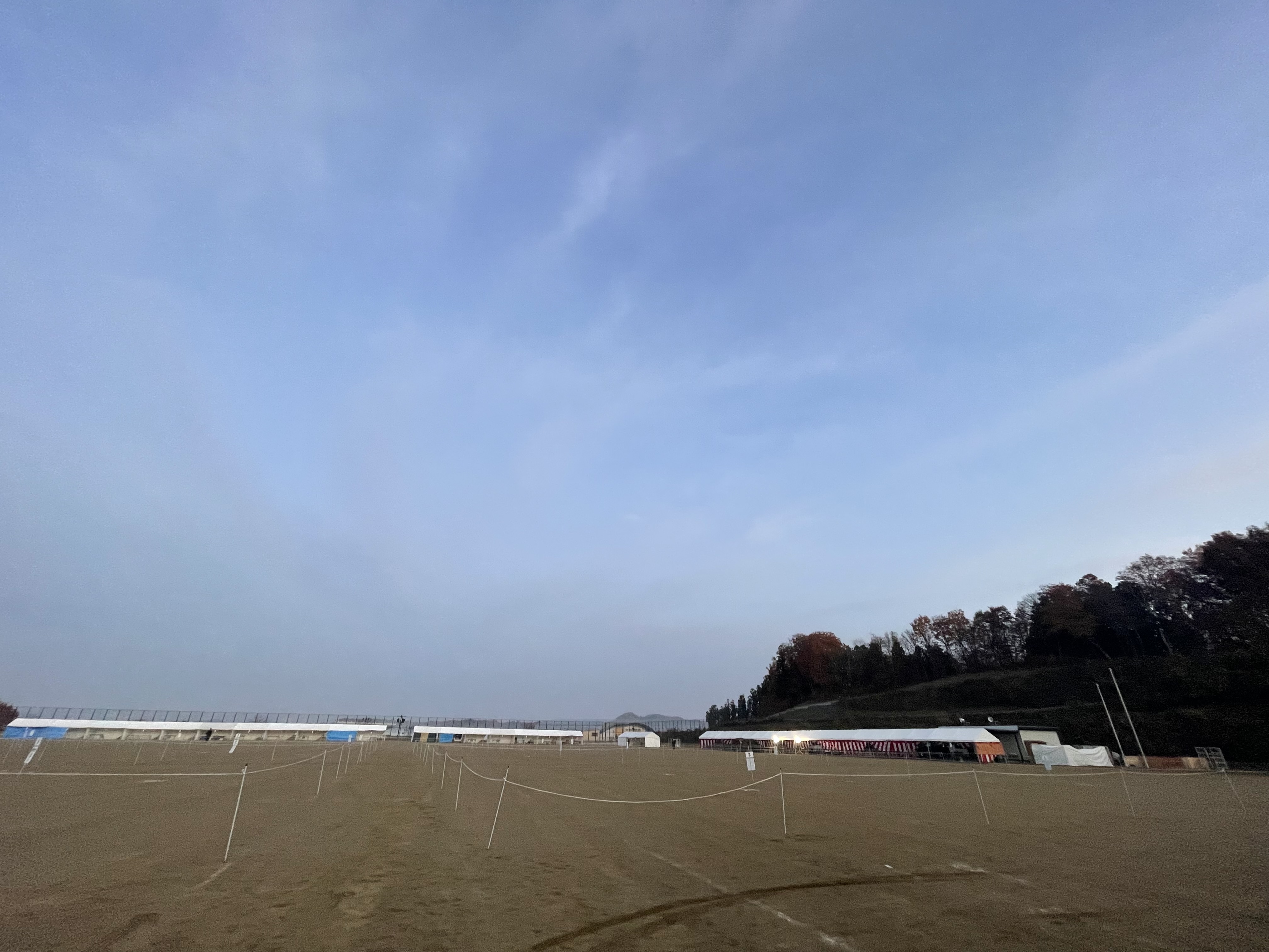 平成四年度第117回天然記念物日本犬全国展覧会☆ : Day by Day