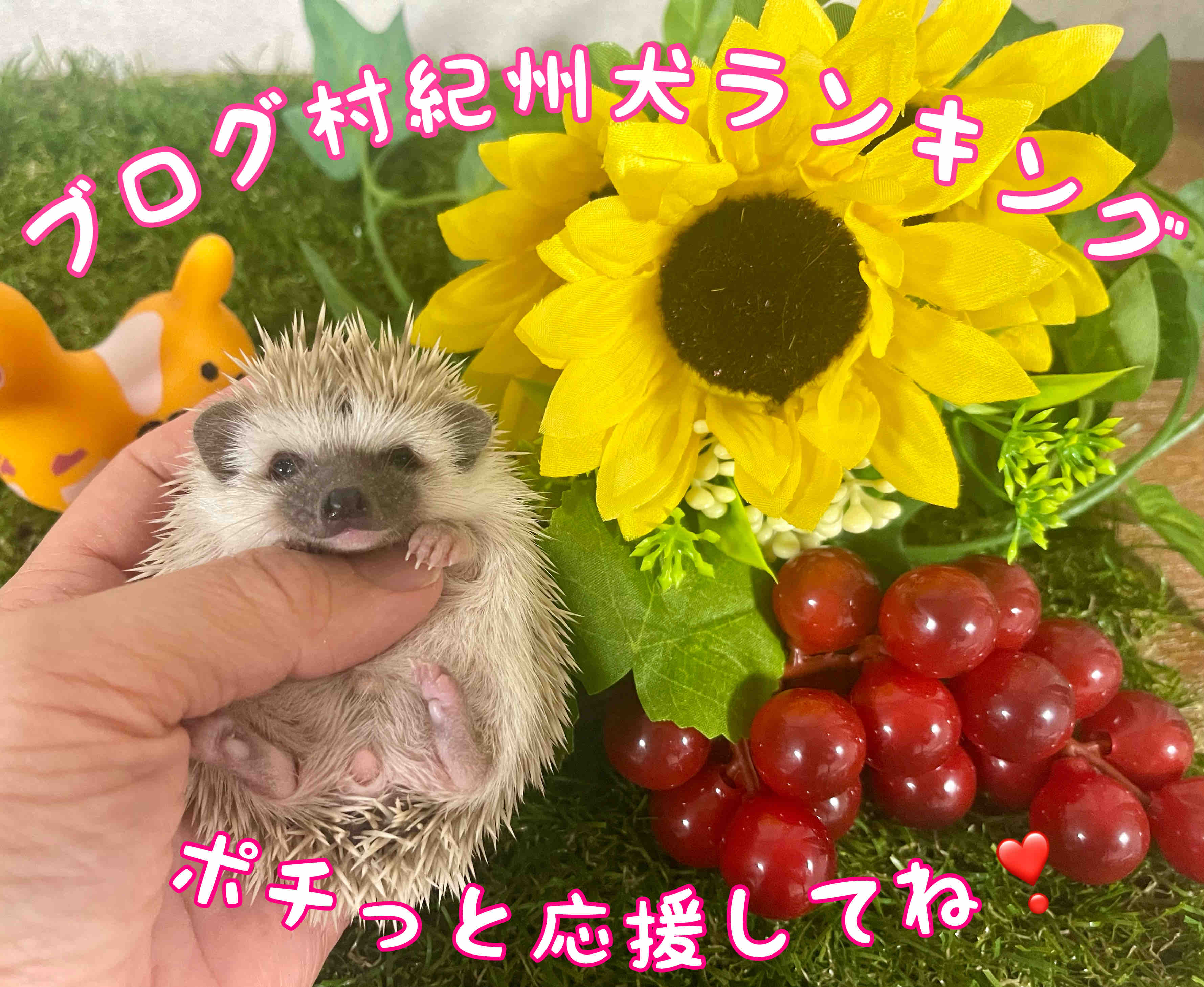 Uc5vgngkbmuttm Uc5vgngkbmuttm