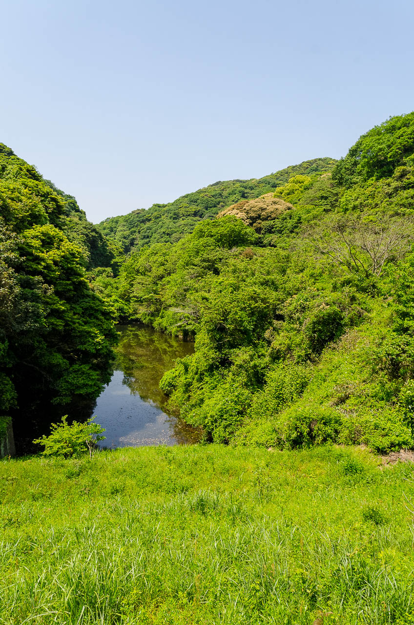 緑地 山田