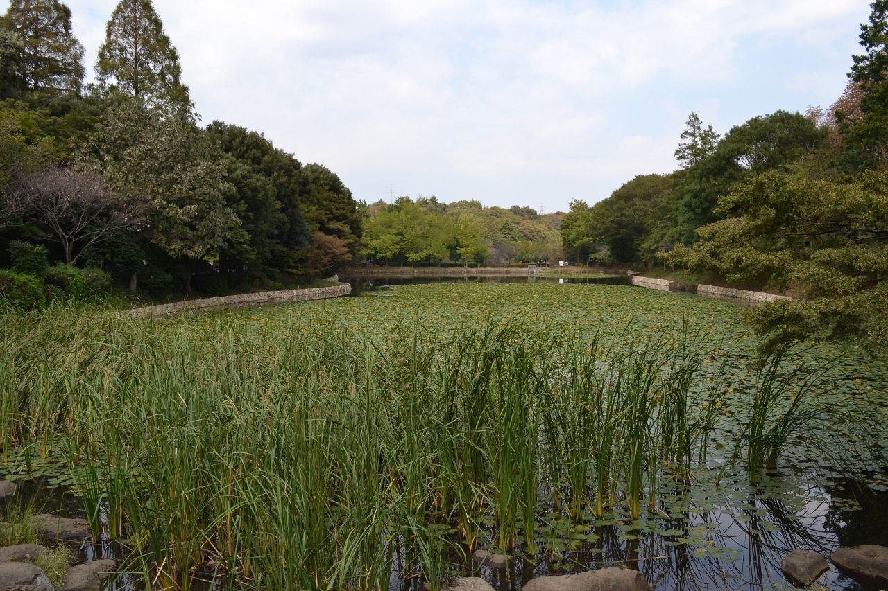 三ツ池公園へ Kenji4908のブログ 三ツ池公園へ Kenji4908のブログ