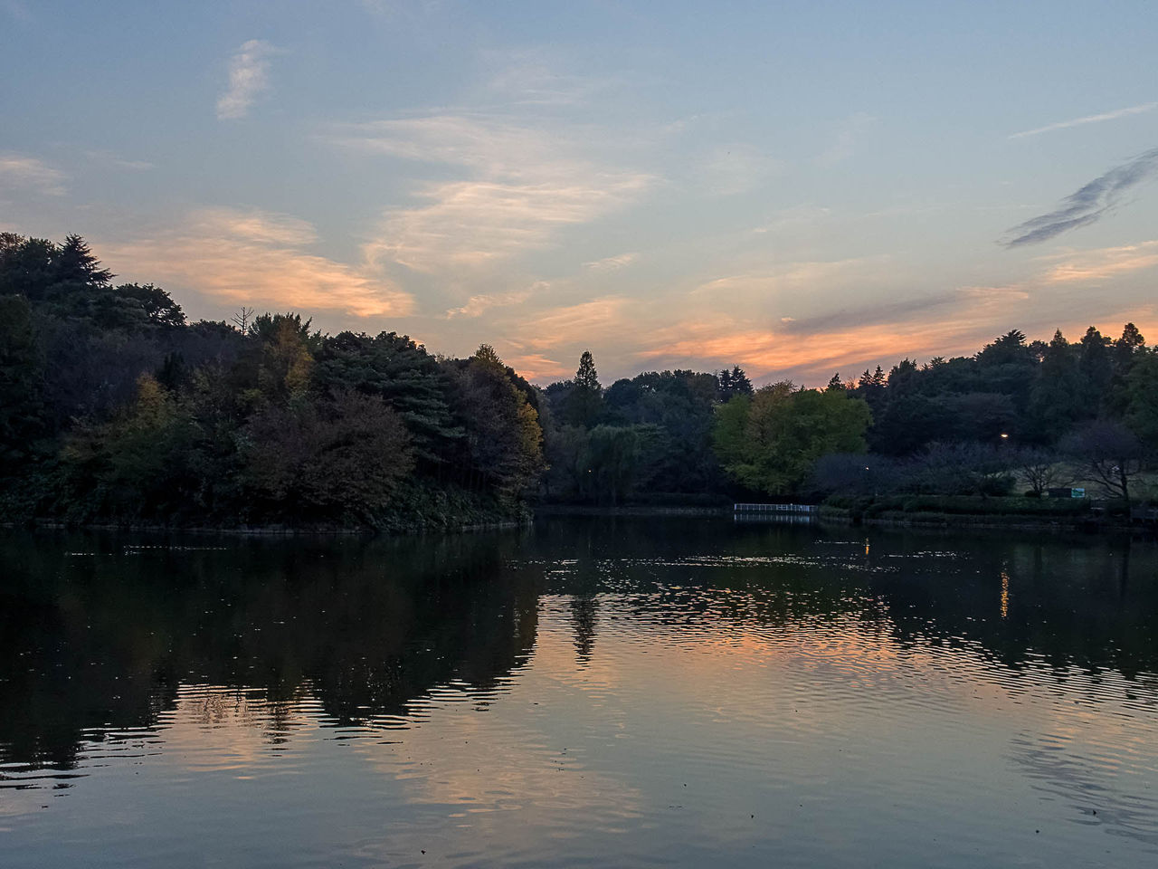 夜の三ツ池公園 Kenji4908のブログ 夜の三ツ池公園 Kenji4908のブログ