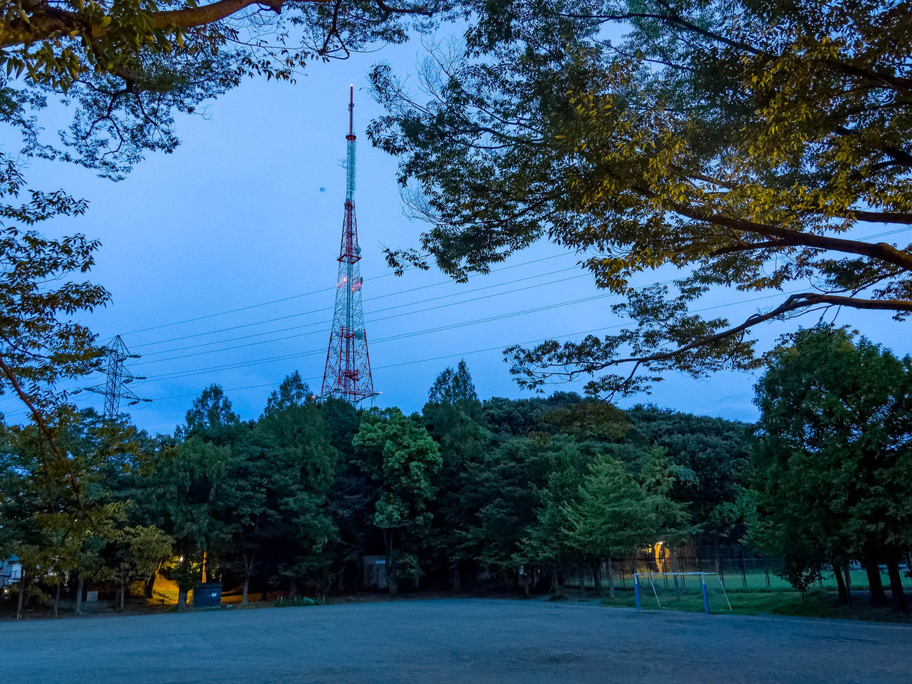 三ツ池公園から Kenji4908のブログ 三ツ池公園から Kenji4908のブログ