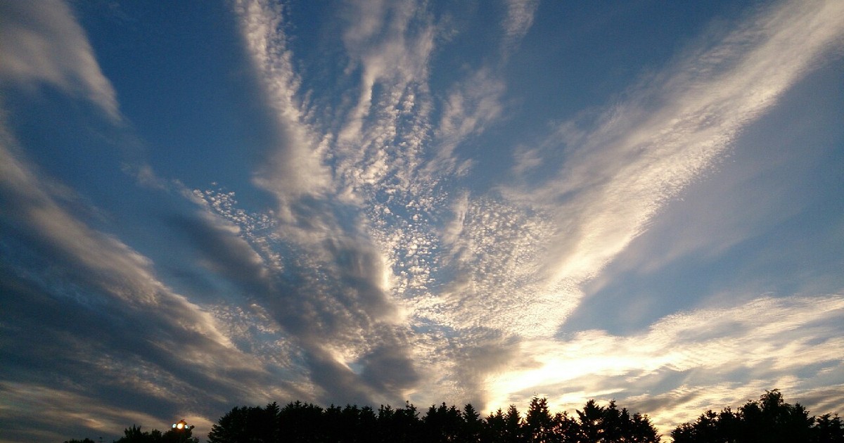 Kenzi625 Traum Sv Asahikawa