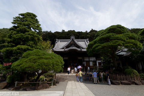 修善寺_旅_5