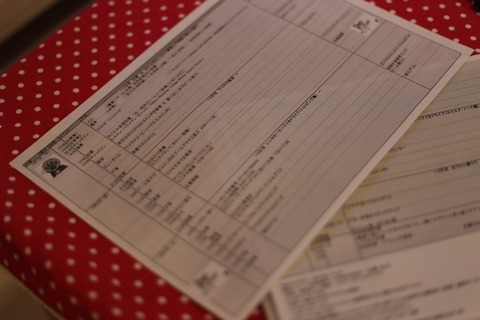 スケジュール表