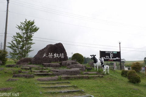 栃木_大笹牧場_10