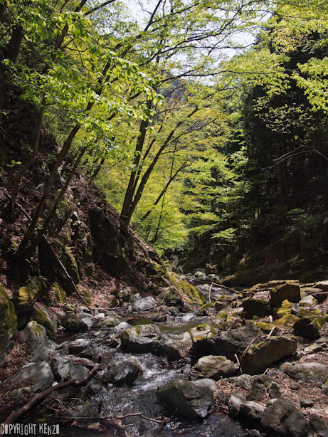 川苔山_8