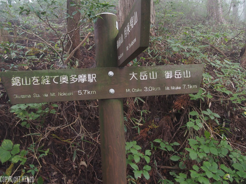 大岳山_鋸山_登山_36