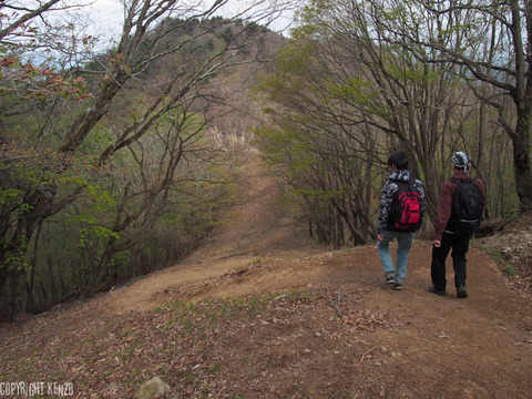 川苔山_16