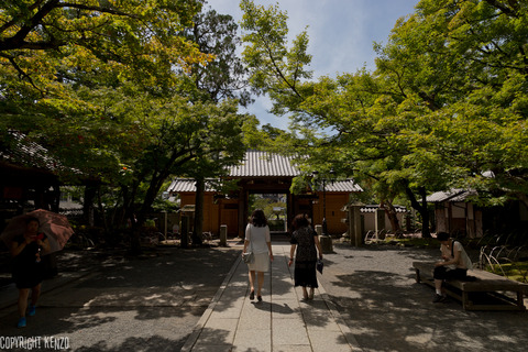 修善寺_旅_7