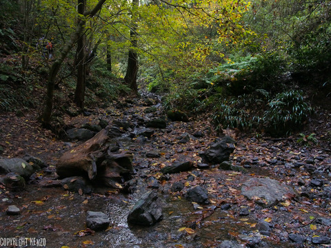 高尾山2015_4