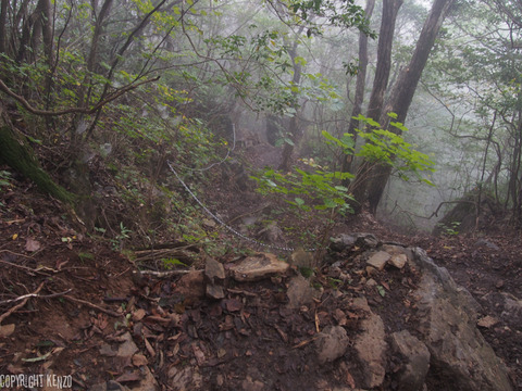 大岳山_鋸山_登山_39