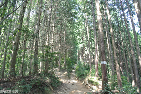 高水三山_48
