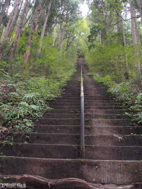 大岳山_鋸山_登山_7