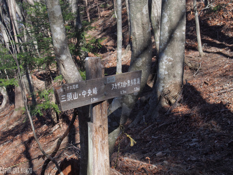 三頭山登山_23