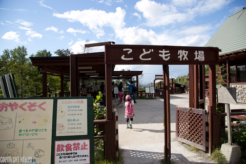 旭山動物園_42