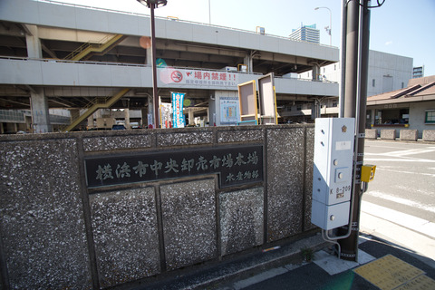 横浜市中央卸売市場_8