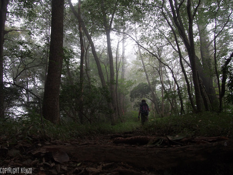 大岳山_鋸山_登山_29