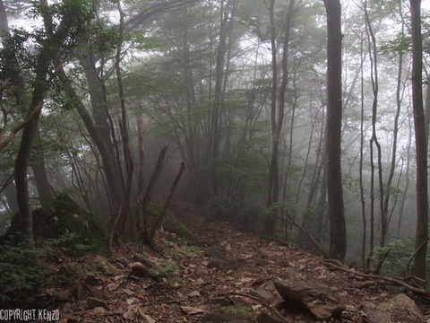 大岳山_鋸山_登山_30