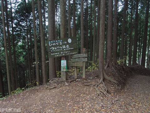 日の出山_つるつる温泉_登山_31