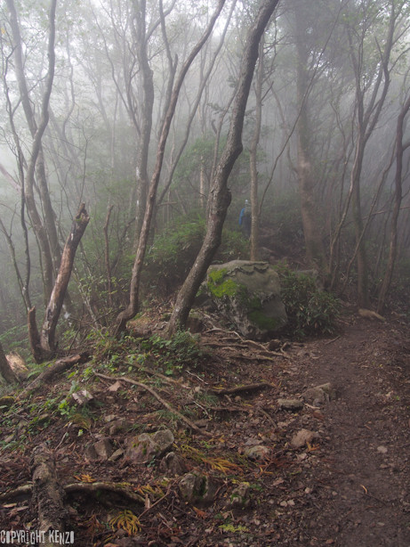 大岳山_鋸山_登山_37