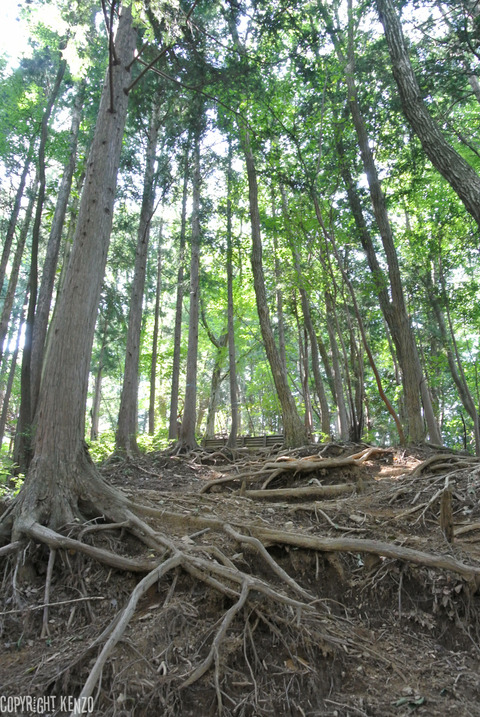 高水三山_44