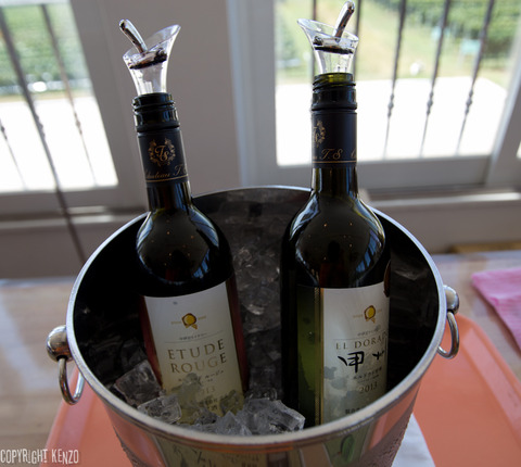 中伊豆ワイナリーシャトーTS_6