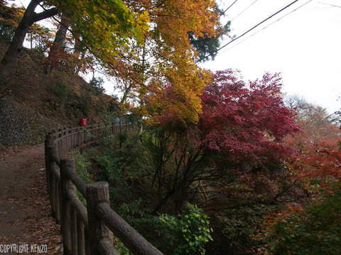 日の出山_つるつる温泉_登山_8