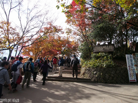 高尾山2015_5
