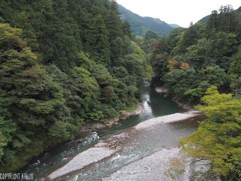 大岳山_鋸山_登山_2
