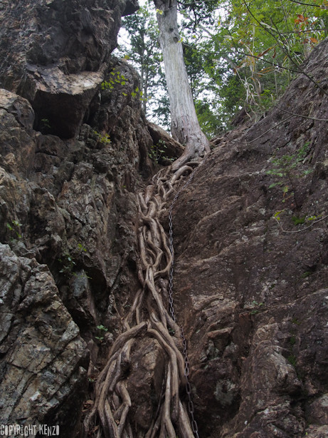 大岳山_鋸山_登山_21