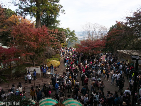 高尾山2015_7