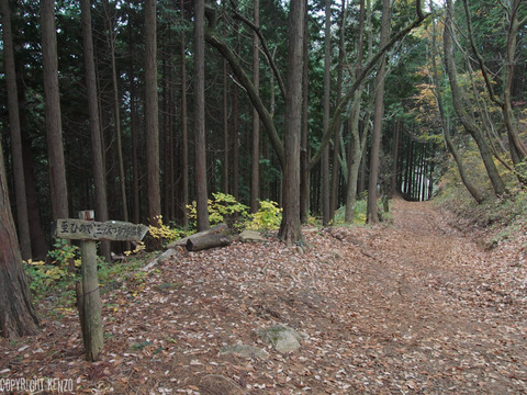 日の出山_つるつる温泉_登山_30