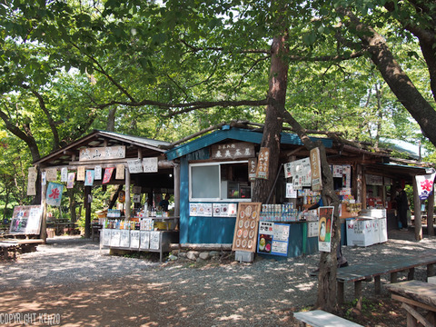 高尾山陣場山縦走_11