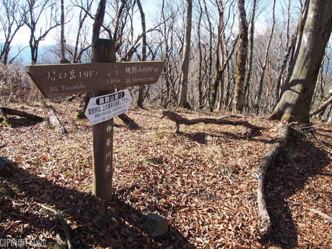 鍋割山日帰り登山_48