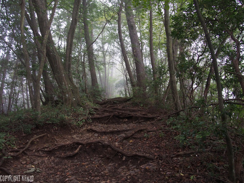 大岳山_鋸山_登山_27