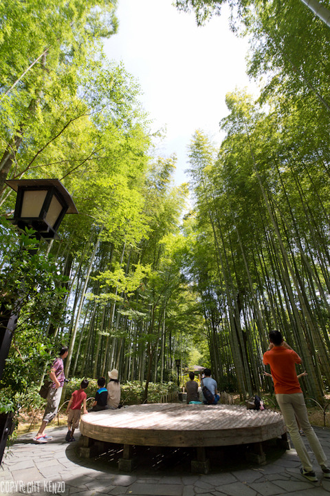 修善寺_旅_20