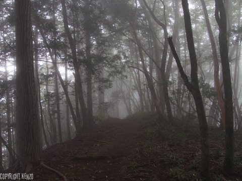 大岳山_鋸山_登山_31