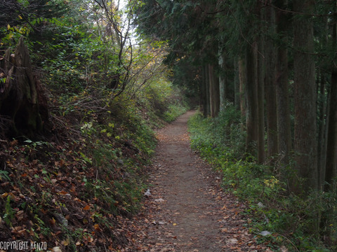 日の出山_つるつる温泉_登山_14