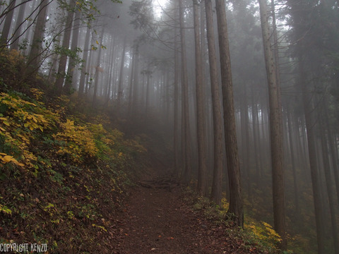 日の出山_つるつる温泉_登山_21