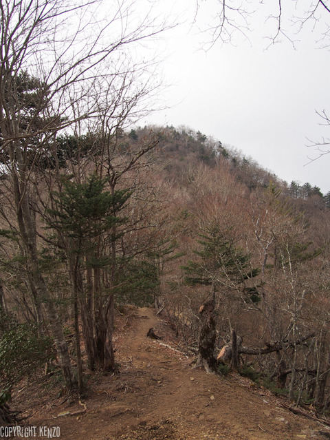 鷹ノ巣山_登山_201701_14