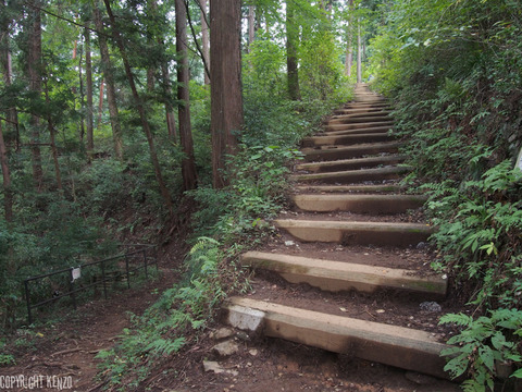 大岳山_鋸山_登山_5
